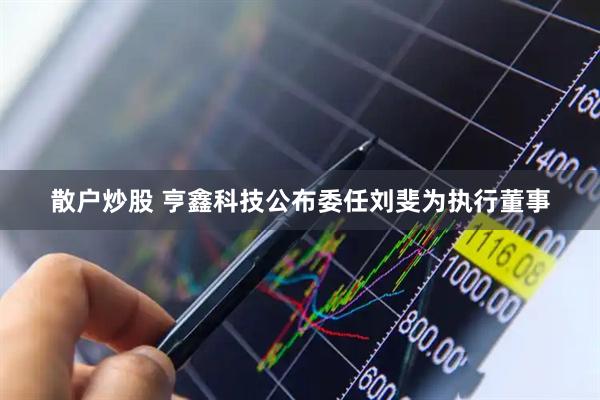 散户炒股 亨鑫科技公布委任刘斐为执行董事