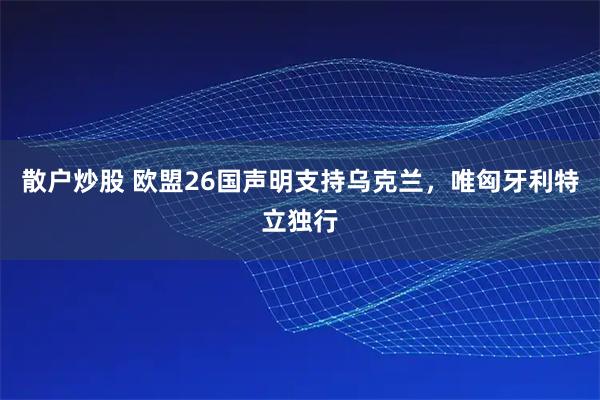 散户炒股 欧盟26国声明支持乌克兰，唯匈牙利特立独行