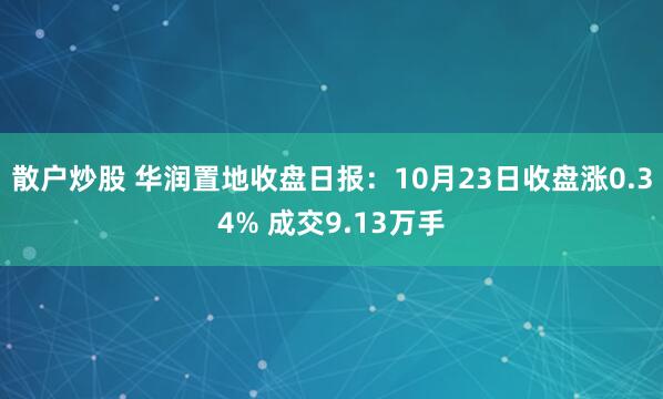 散户炒股 华润置地收盘日报:10月23日收盘涨0.34% 成交9.13万手